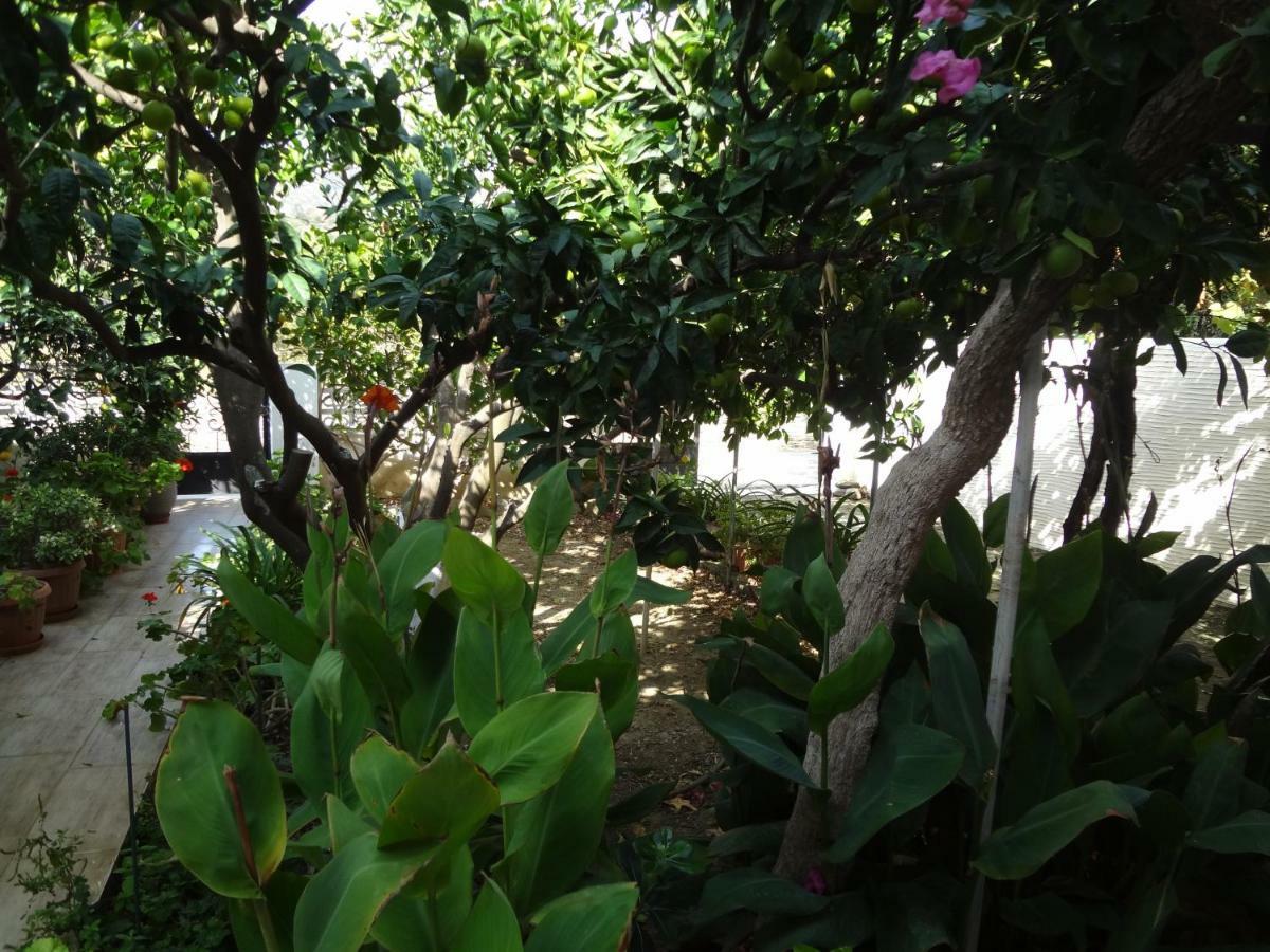 Villa Cozy Citrus Garden House By The Seaside. Khónias Exterior foto